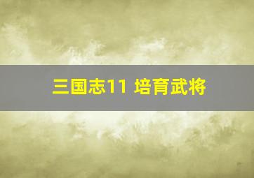 三国志11 培育武将